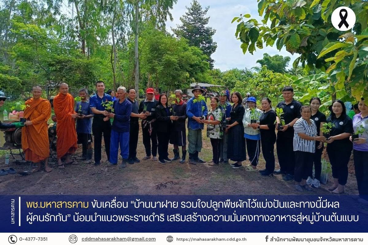 พช.มหาสารคาม ขับเคลื่อน “บ้านนาฝาย รวมใจปลูกพืชผักไว้แบ่งปันและทางนี้มีผล ผู้คนรักกัน” น้อมนำแนวพระราชดำริ เสริมสร้างความมั่นคงทางอาหารสู่หมู่บ้านต้นแบบ